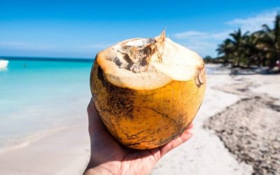 10 Amazing Health Benefits of Coconut Oil