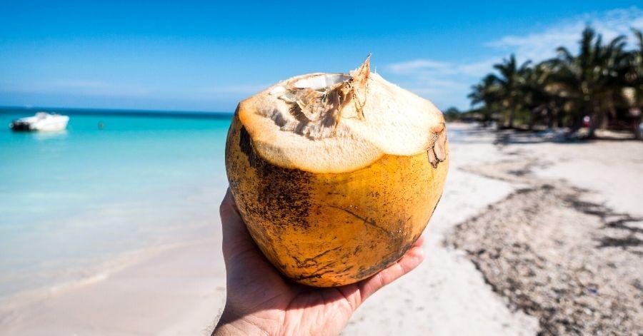 10 Amazing Health Benefits of Coconut Oil