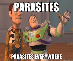 parasites-are-everywhere