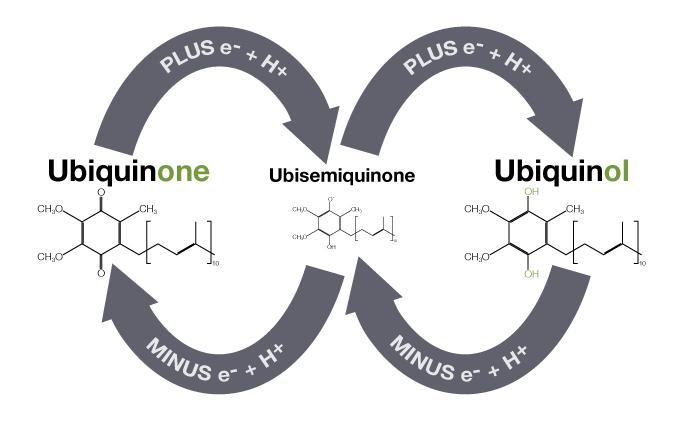 CoQ10-redox