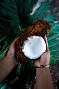 mct oil vs coconut