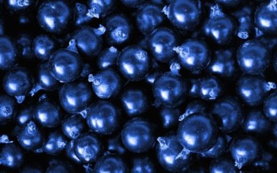 Can Black Currant Oil Help with Weight Loss?