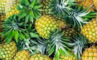 Inflammation: What It Is and Why You Should Fight It