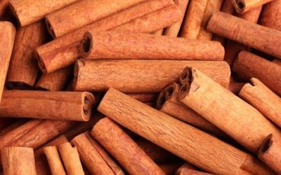What Is The Difference Between Ceylon and Cassia Cinnamon?
