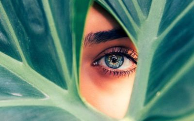 How To Maintain Good Eye Health?
