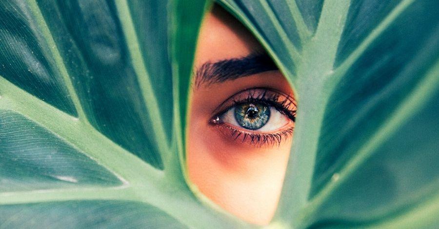 How To Maintain Good Eye Health?