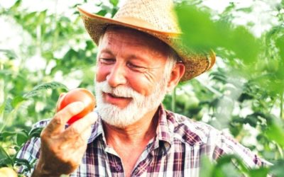 Prostate Health: Prevention With Lycopene