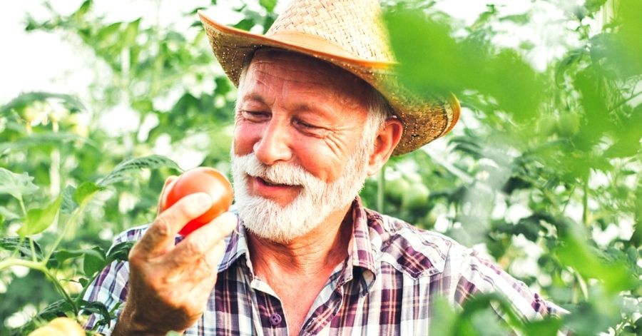 Prostate Health: Prevention With Lycopene
