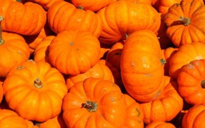 8 Health Benefits of Pumpkin Seed Oil