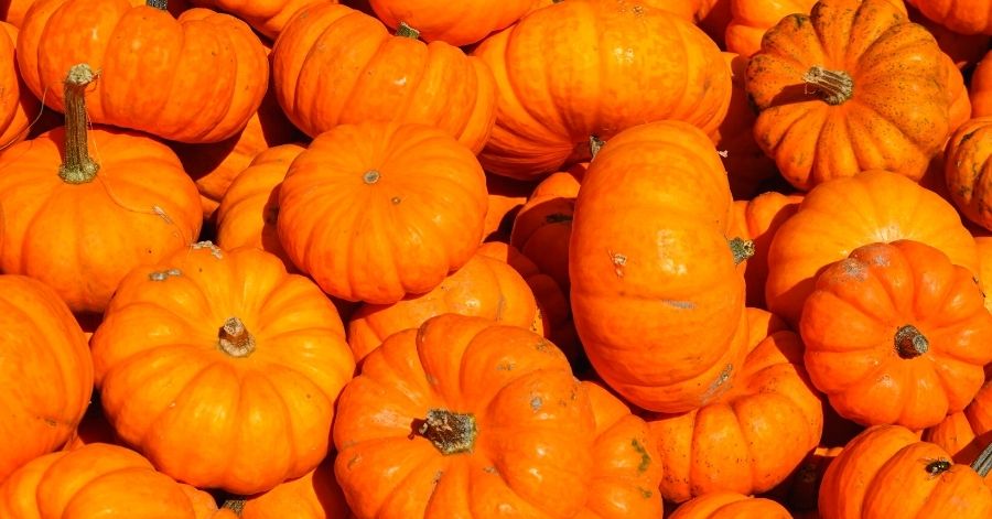 8 Health Benefits of Pumpkin Seed Oil